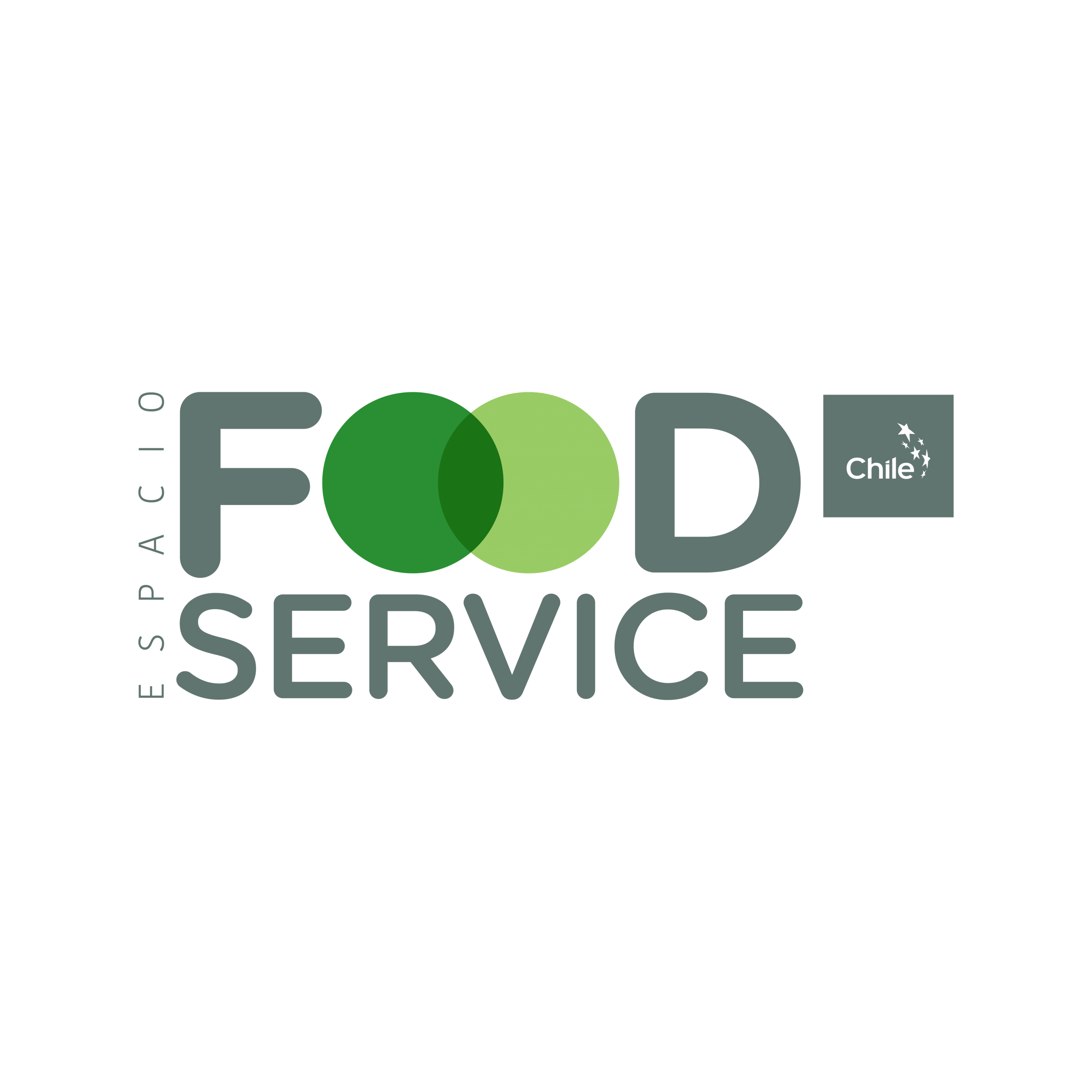 Logo-FS-2025
