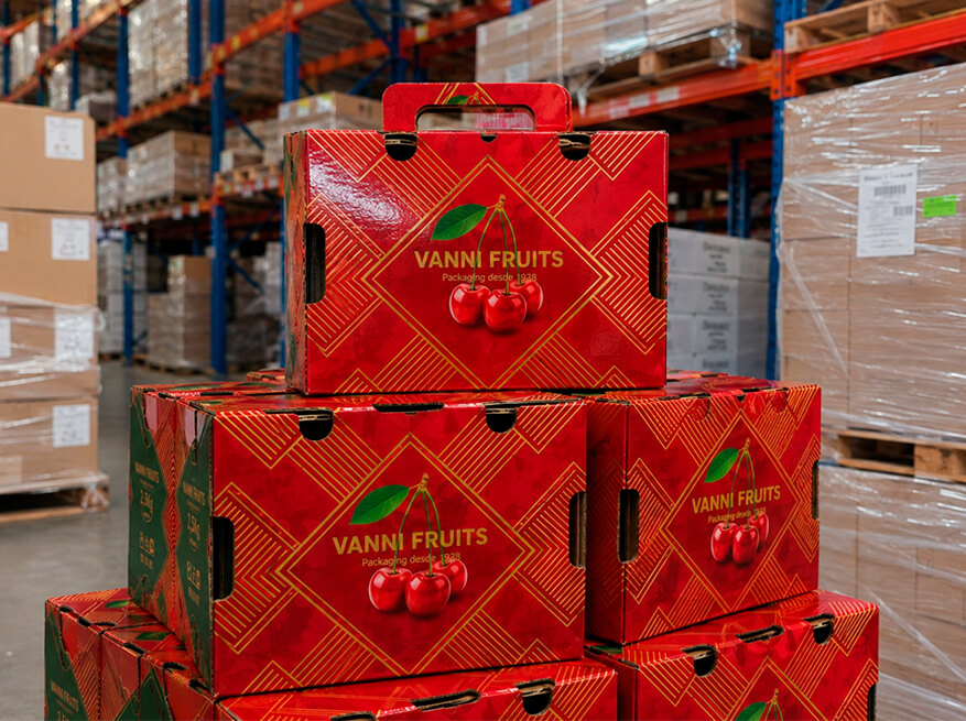 Cajas microcorrugadas para cerezas 2,5 kg de exportación fabricadas por Vanni Packaging